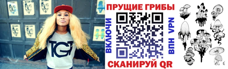 Галлюциногенные грибы GOLDEN TEACHER  сколько стоит  Чегем 